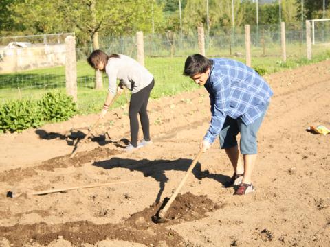 Título - Preparar a Terra I
Os alunos em janeiro prepararam a terra para plantarem os morangueiros em março.